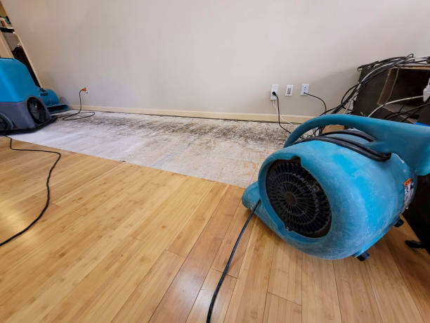 Professional Water Removal technician working in Rancho Cucamonga, CA